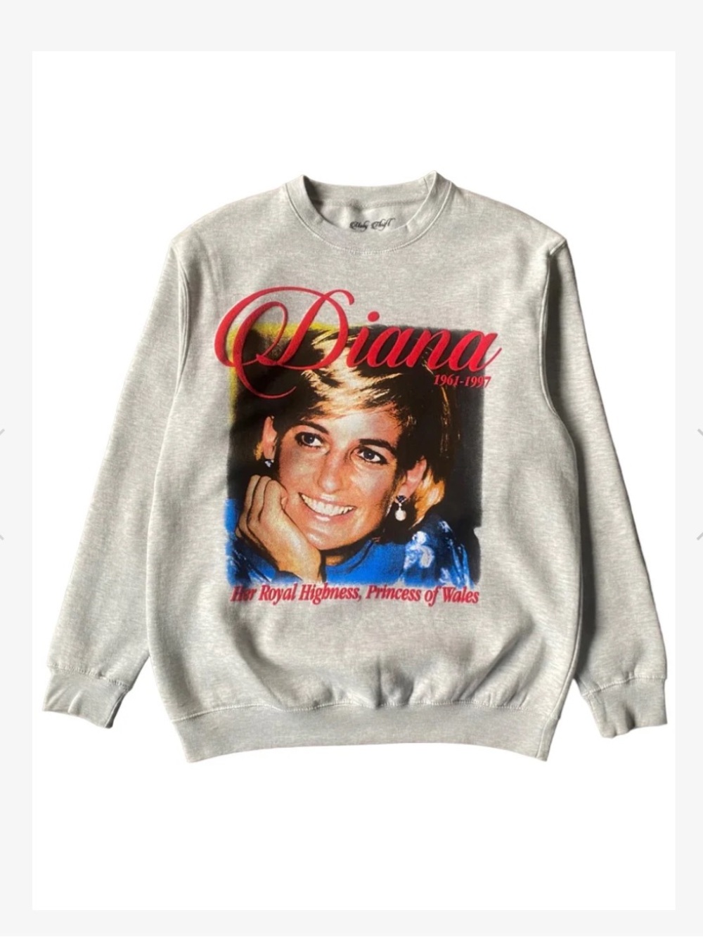 NWOT Moby Thrift The Diana Crewneck in Heather Grey size XL